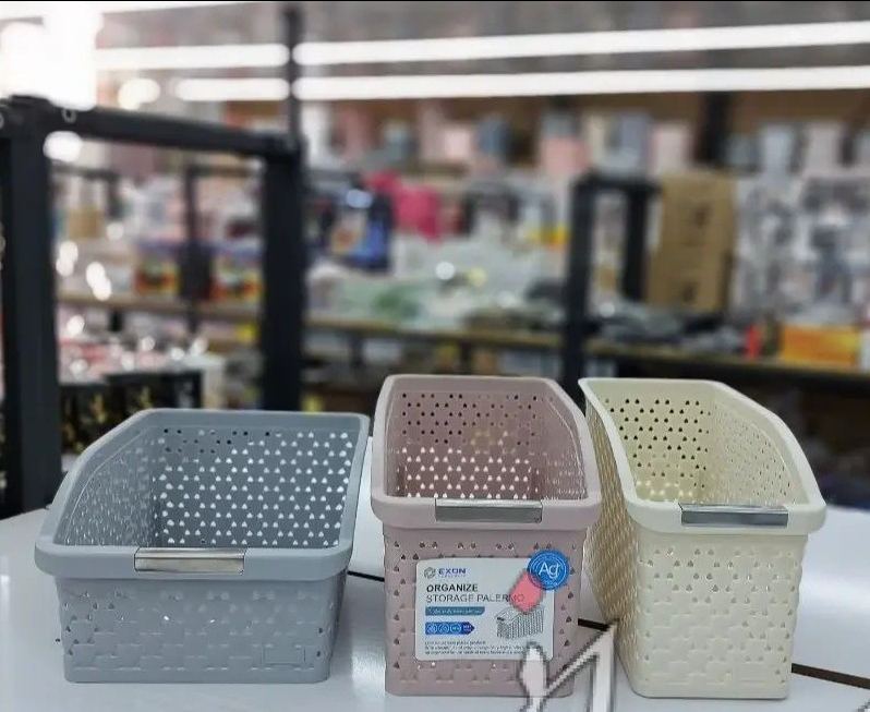 اکسون سبد نظم دهنده 1 پالرمو 1050 